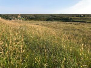 site view 2