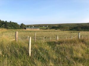 site view 1