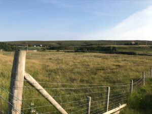 site view 7